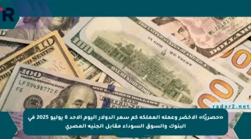 «حصريًا» الأخضر وعملة المملكة كم سعر الدولار اليوم الأحد 6 يوليو 2025 في البنوك والسوق السوداء مقابل الجنيه المصري